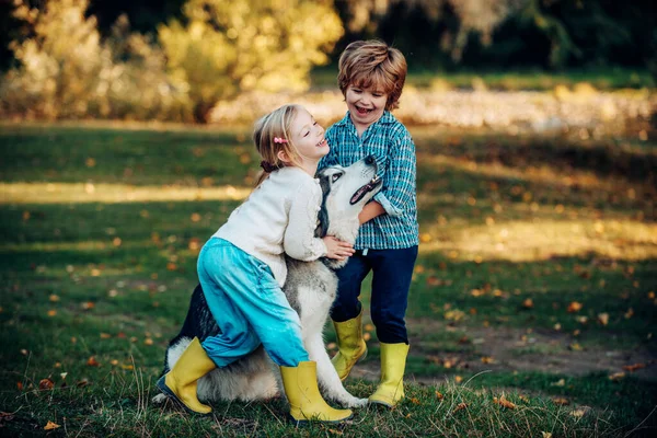 화창 한 여름날 개를 데리고 들판을 산책하는 귀여운 아이들 입니다. 활동적 인 어린이 컨셉. 귀여운 개를 키우는 아이들. 개를 키우는 아이들 이죠. 행복 한 어린 시절 순간들. — 스톡 사진