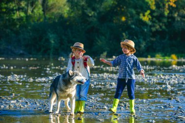 Suyun yanındaki güneşli yaz parkında köpekli küçük çocuklar. Kırsal kesimde yaz. Yaz tatili.