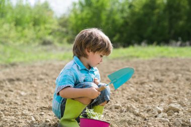 Şehir bahçesinde pancar toplayan bir çocuk. Tasasız çocukluk. Bahar bahçesinde yürüyen sevimli çocuk. Bahçede küçük bir bahçıvan..