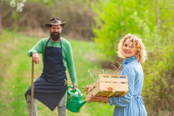 Esposa y marido plantando en el huerto. Un par de brotes de plántulas de agricultores en el jardín. Primavera jardinería rutina . — Foto de Stock