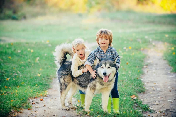 Ragazzo e ragazza che giocano con il suo cane all'aperto godendo insieme. Bambini campeggio con cane da compagnia. I bambini abbracciano amorevolmente il suo cane da compagnia. Ritratto integrale . — Foto Stock