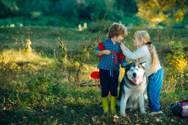 Camping turístico y concepto de vacaciones. Una infancia sin preocupaciones. Una niña rubia y un chico lindo con su perro mascota al aire libre en el parque. Recuerdos de la infancia . —  Fotos de Stock