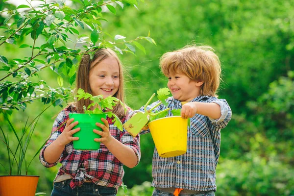 在有农村背景的农场里，快乐的儿童农民。春天的一天，可爱的小男孩和小女孩在花园里浇灌着植物. — 图库照片