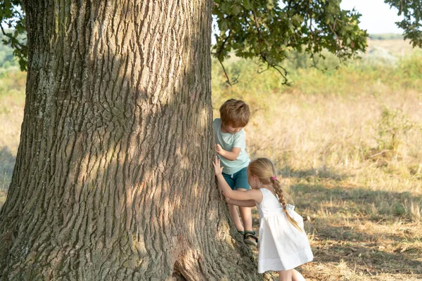 Liten flicka och pojke klättrar i ett träd. Söta ungar på det stora trädet på soliga dagen. Barn klättrar i ett träd. — Stockfoto