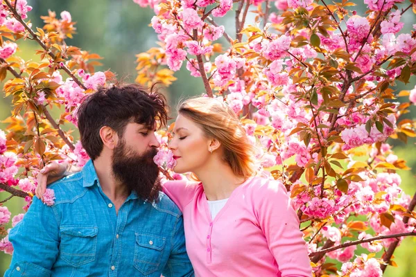 Kissing couple in spring nature close-up portrait. Smiling couple in love on blossoming tree garden background. Couple spend time in spring blossoming tree garden. Romantic date couple concept.