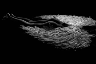 Sevgililer Günü konsepti. Angelic güzel bir kadının sanat fotoğrafı. Moda konsepti. Düşmüş melek.