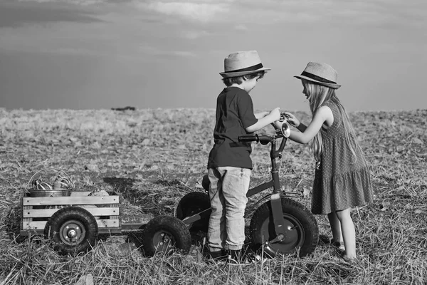 Szczęśliwego dzieciństwa. Mali rodzinni farmerzy. Szczęśliwe dzieci rolnicy dobrze się bawią na polu wiosny. — Zdjęcie stockowe