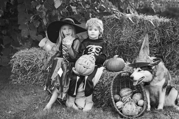 Pomysł na Halloween dla dzieci. Wesołego Halloween, słodka dziewczynka i chłopiec bawiący się na świeżym powietrzu. Słodycze na Halloween. Halloween portret szczęśliwego cute dziecka. — Zdjęcie stockowe