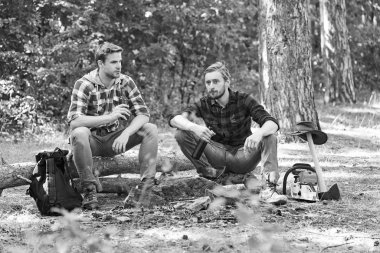 Kamp macerası ve seyahat konsepti. Turistler dinleniyor. Bir grup arkadaş ormanda piknik yapıp bira içiyorlar. İki arkadaş ormanda oturup bira içen oduncu işçi..