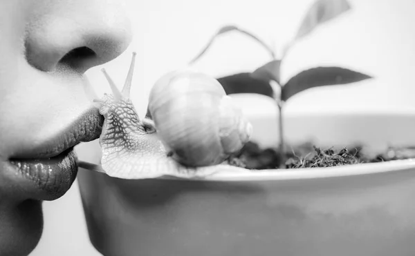 Healing mucus. Having fun with adorable snail. Spa and wellness. Cosmetics and snail mucus. Cosmetology beauty procedure. Girl and cute snail. Skin care. Massage with snail. Skincare repairing — Stock Photo, Image