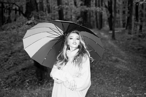 Menina sorridente feliz bonita com cabelos longos vestindo jaqueta elegante posando no dia de outono. Jovem feliz no parque no dia ensolarado do outono. Foto de moda de jovem bela senhora rodeado folhas de outono . — Fotografia de Stock