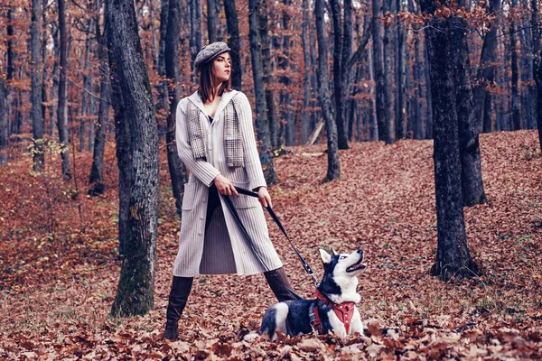 Unconditional love. Siberian husky favorite pet. Animal husbandry. Girl pretty stylish woman walking with husky dog autumn forest. Pedigree dog concept. Girl enjoy walk with husky dog. Best friends