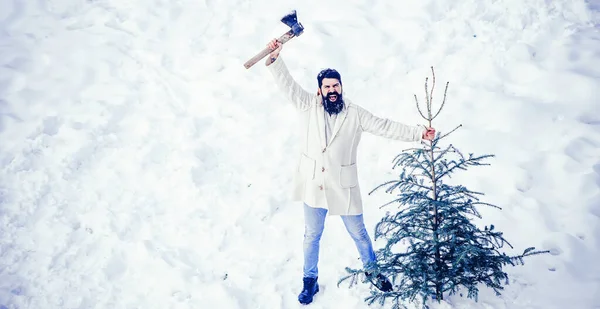 Opgewonden houthakker draagt dennenboom in de witte sneeuw achtergrond. Grappige Kerstman poserend met bijl en kerstboom. Jongeman houthakker snijdt kerstboom in het hout. — Stockfoto