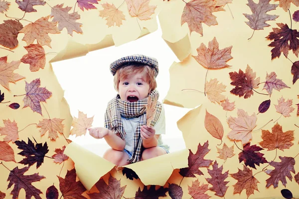 Söt pojke i säsongens kläder med blad. Liten pojke förbereder för solig höstdag. Pojke i höst spelar med blad på hösten blad bakgrund. Grimas. — Stockfoto