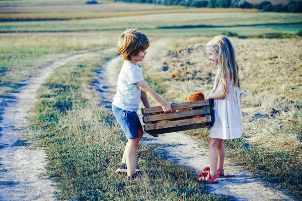 Eco granja para niños. Recuerdos de la infancia. Eco resort actividades infantiles. Niños felices granjeros trabajando con patatas en el campo. Lindos granjeros - hermana y hermano trabajando con la papilla en el campo de primavera . —  Fotos de Stock