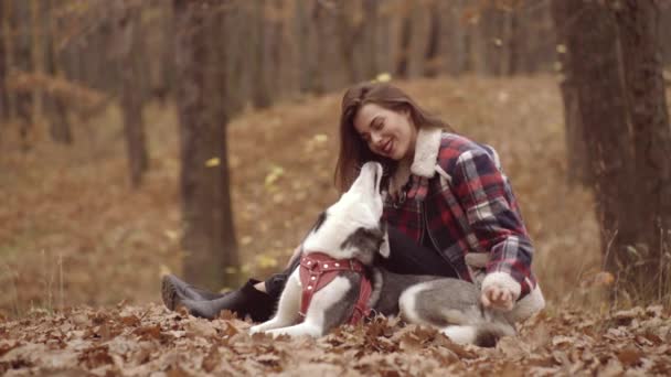 Vacker flicka leker med en hund husky på hösten natur bakgrund. Höst utanför. — Stockvideo