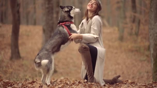 Donna con cane che cammina nel parco autunnale. Bella ragazza gioca con un cane husky su sfondo natura autunno. Autunno fuori . — Video Stock