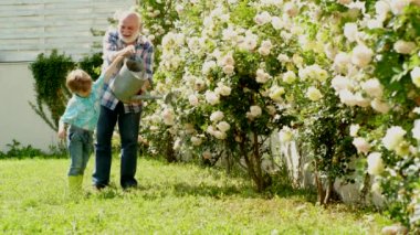 Çiçek bahçesinde çalışırken büyükbaba ve torun. Torun ve büyükbaba ekiyor. Yaşam tarzı ve aile hayatı. Bahçede torunu olan yaşlı bir adam..