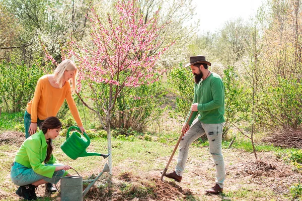 Дівчина поливає рослини в саду навесні сонячним днем. Група молоді працює на весняному подвір'ї з садовими інструментами. Друзі рослини і рослини. Чоловік саджає дерево, руки лопатою копають землю — стокове фото