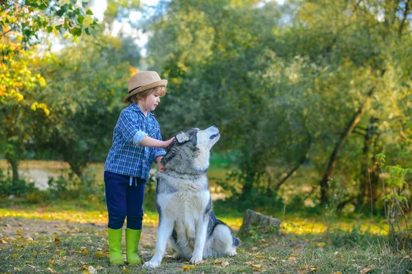 Niños acampando con perro mascota. Los niños abrazan amorosamente a su perro mascota. Feliz infancia. Niños divertirse perro mascota en el campo contra el fondo de la naturaleza . —  Fotos de Stock