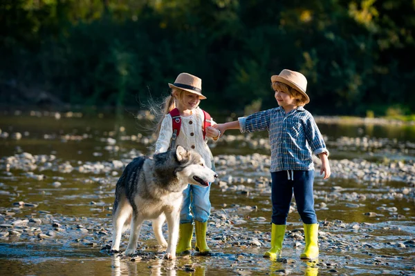 Kinderen wandelen in de rivier. Kleine jongen en meisje die over de rivier lopen. Reizen en trekking met kinderen. Actieve kinderen die de natuur verkennen. — Stockfoto