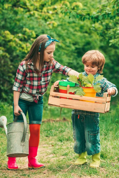 Брат і сестра грають разом у саду. Милий маленький хлопчик і дівчинка поливають рослини в саду навесні. Щасливі маленькі фермери розважаються на полі . — стокове фото