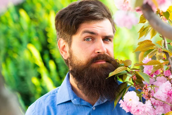 Gros plan portrait de l'homme du printemps. Portrait facial d'un beau modèle masculin. Homme barbu en robe légère regardant la caméra tout en posant près de l'arbre à fleurs au jour ensoleillé . — Photo