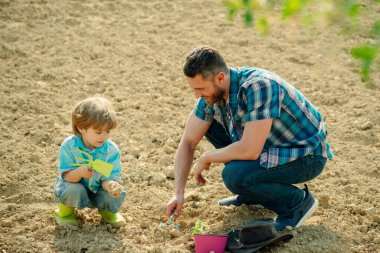 Baba ve oğul, Garden 'da fidanlar dikiyorlar. Baba oğul ekim. Baba ve oğul toprak zemininde çalışıyorlar. Aile ekimi.