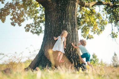 Küçük tatlı bir çocuk ve kız yaz ormanında ağaca tırmanıp eğleniyorlar. Büyük bir ağaçtaki çocuklar.