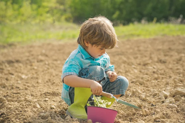 Ung bonde. Toddler jobbar i blomsterparken. Jorddagen. Barnbonde på gården med lantlig bakgrund. — Stockfoto