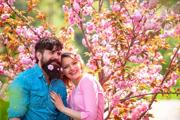 Pareja feliz disfrutando de un día soleado en el parque durante el árbol de flores de cerezo . —  Fotos de Stock