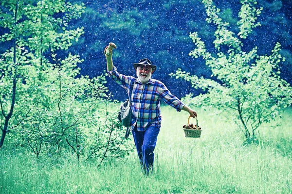 Szczęśliwego Dziadka - lato i hobby. Staruszek spacerujący w deszczu. Dziadek emeryt. Seniorzy w lesie. — Zdjęcie stockowe