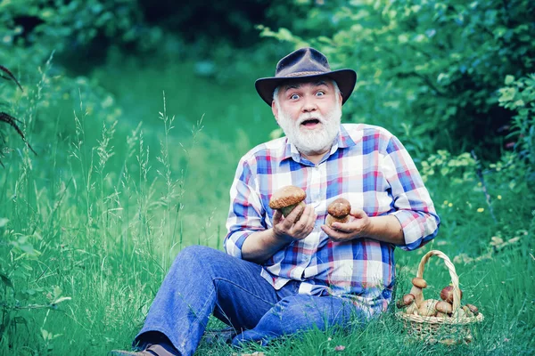 Dziadek z koszem grzybów i zaskakującym wyrazem twarzy. Grzyby w lesie, Dziadek polowania grzyby nad letnim tle lasu. — Zdjęcie stockowe