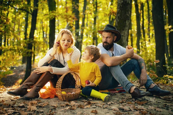 Lycklig familj på tre som ligger i gräset på hösten. En ung familj med ett litet barn som har picknick i höstnaturen vid solnedgången. Mor, skäggiga far och barn äter äpplen. — Stockfoto