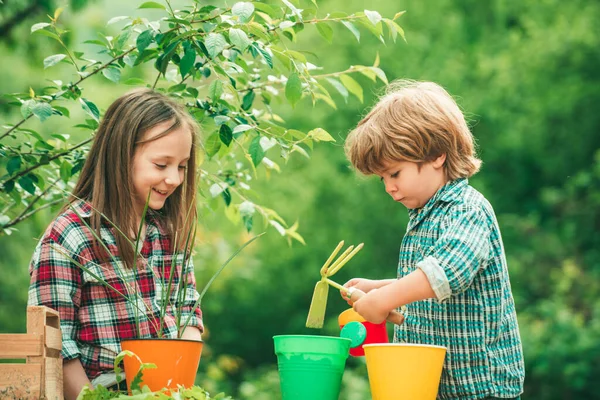 子供たちはポットに花を植える。春の畑で働く2人の幸せな子供たち. — ストック写真