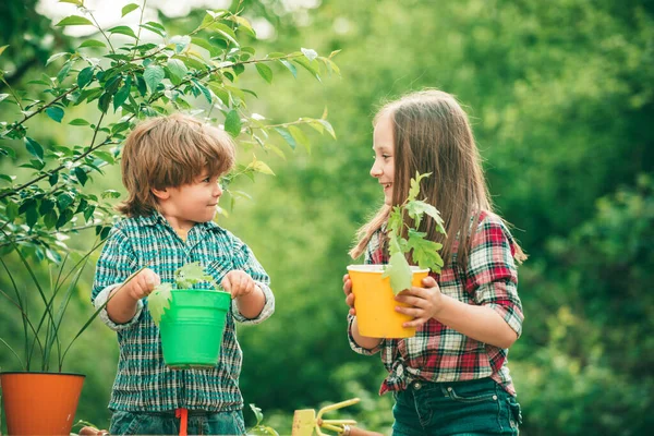 Φυτεύω λουλούδια στην κατσαρόλα. Πολύ χαριτωμένα παιδιά που δουλεύουν και παίζουν στον όμορφο κήπο. Μικρά παιδιά εργάζονται στην αυλή με εργαλεία κήπου και να έχουν καλές στιγμές. — Φωτογραφία Αρχείου