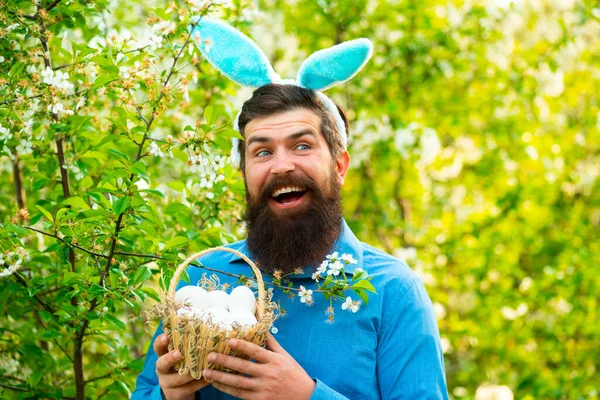 Homem engraçado em traje de coelho segurar ovos de Páscoa. Homem barbudo segurando cesta de ovos de Páscoa . — Fotografia de Stock