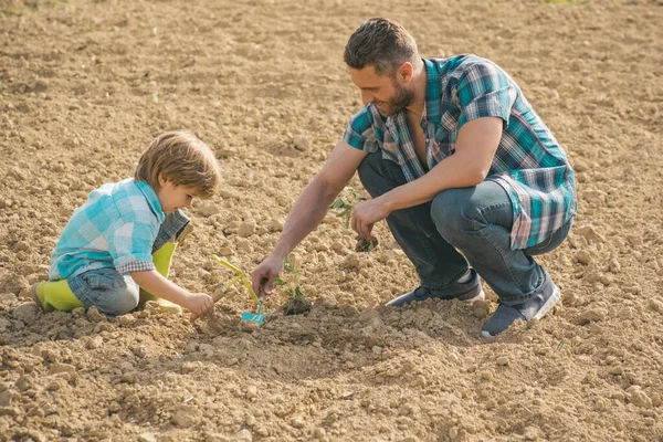 Отец учит своего сына садоводству. Отец и сын работают в саду . — стоковое фото