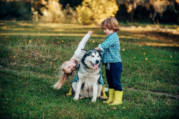 Niños divertidos niño y niña con perro caminan juntos en la colina verde. Concepto de infancia. Grupo de dos niños caminando en un parque con un perro. Momentos felices de infancia . —  Fotos de Stock