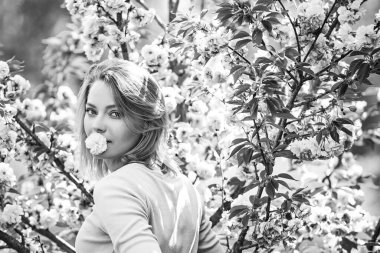 Kiraz Çiçeği Etkinlikleri ve Konumları. Bahar kiraz çiçekli kadın arka planda.