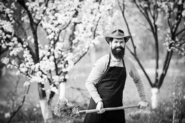 Pěstování plodin na polích. Starší zahradník na zahradě. Farmářská výsadba v zeleninové zahradě. Domácí organické potraviny. — Stock fotografie