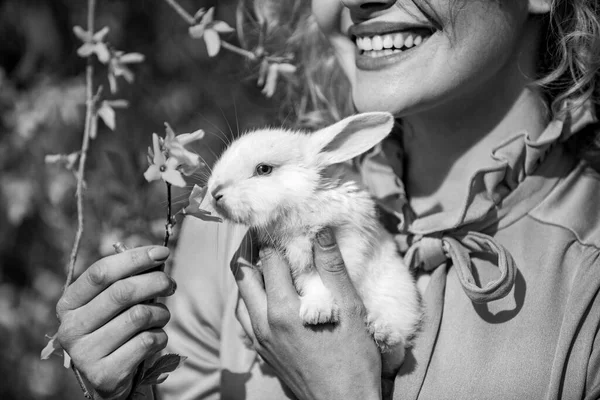 Buona Pasqua. Caccia alle uova. Coniglio sul fondo bocca donna primo piano. Alice nel paese delle meraviglie . — Foto Stock