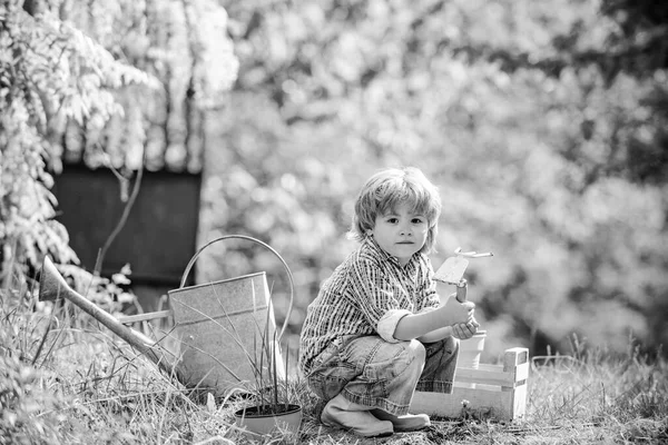 Niño bastante lindo trabajando y jugando en un hermoso jardín. Niño lindo regando el brote en el campo. Retrato infantil en tierras de cultivo . — Foto de Stock