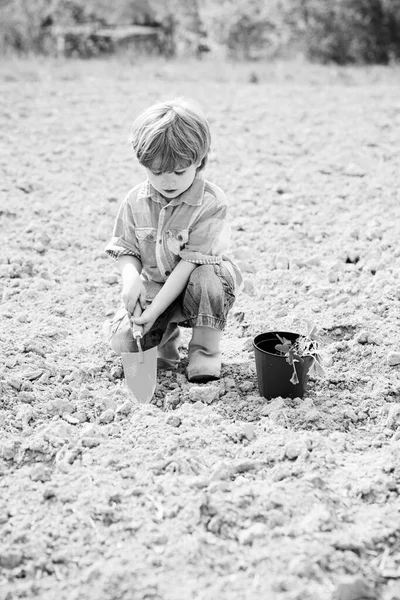 Pequeño jardinero feliz con flores de primavera. Niños felices trabajan planta y agua en jardín de primavera verde . — Foto de Stock