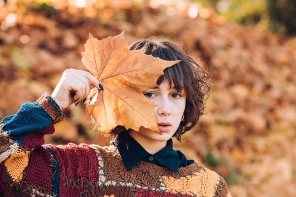 Makyajsız güzel bir kız. Çekici öğrenci kız şık bir kazak giyiyor. Sonbahar atmosferi. Yüzünü sarı yaprağın arkasına saklayan güzel esmerin yakın portresi.. — Stok fotoğraf