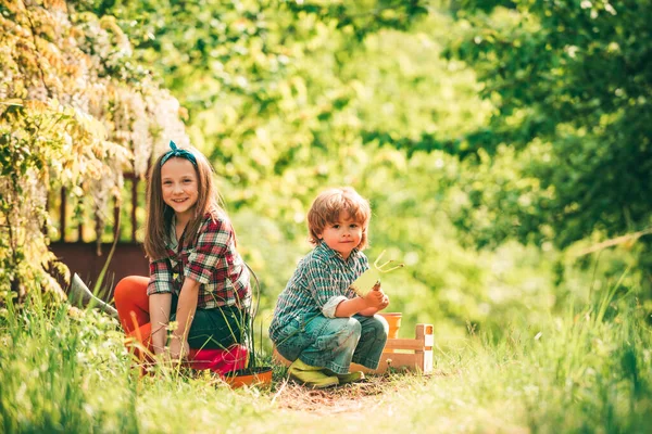 Amerikanska barn på gården. Två små Lantbrukare barn med ekologiska grönsaker. Sommar på landsbygden. — Stockfoto