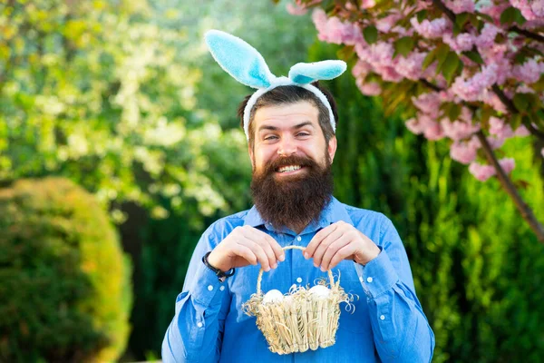 Portrait of Easter man hunting eggs. Man in bunny ears holds basket with Easter egg. Eggs hunt. Spring holidays.