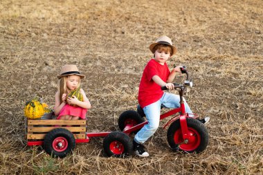 Mutlu çocuklar gülümsüyor ve eğleniyorlar. Küçük kız ve oğlan gülümsüyor. Güneşli bir günde gülümseyen küçük çocuklar. Yazın doğada mutlu çocuklar. Doğada mutlu gülümseyen çocuklar.
