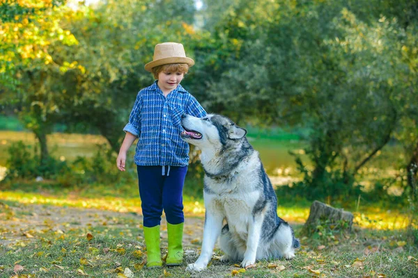 Το αγόρι παίζει με το σκύλο του στο πάρκο. Έννοια ενεργά παιδιά. Παιδιά που κάνουν ορειβασία στο πάρκο με ένα σκύλο. Παιδιά και σκυλιά εξερευνούν. Παιδιά με ένα σκυλί πεζοπορία κατά μήκος της φύσης. — Φωτογραφία Αρχείου