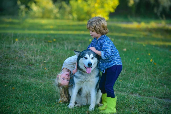 Enfants drôles frère et sœur et chien ensemble dans le parc. Deux enfants ayant trekking jour de vacances avec chien animal de compagnie avoir du plaisir dans la nature . — Photo